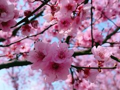 -白塘生态植物园