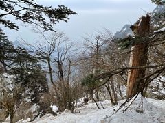 -峨眉山风景名胜区