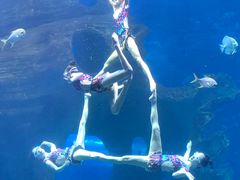 -多彩贵州城极地海洋世界