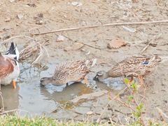 -长春市南湖公园