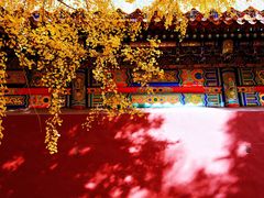 -故宫博物院(故宫)