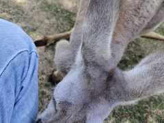 -泉州海丝野生动物世界