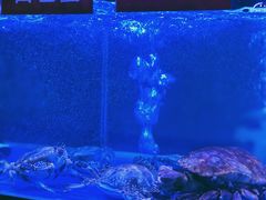 -小龍鳳·港式海鲜打边炉(沙湖路店)