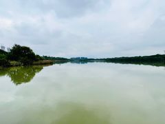 -华侨城湿地公园