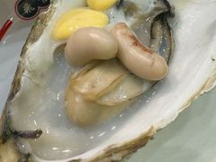 -飞尝蚝·顺德菜·鱼生(顺德总店)
