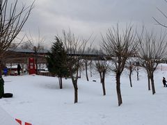 -北京鹿世界主题园