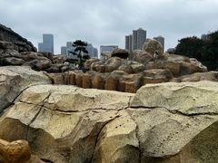 -武汉动物园