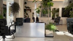 -Hair  Gallery
