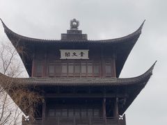 -鲁镇