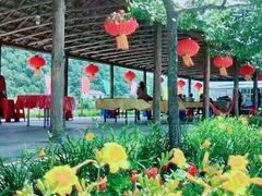 -青水湖水上乐园
