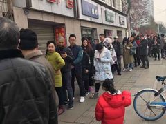 -邓氏兔头