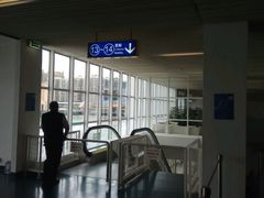 -信德中旅船务管理有限公司