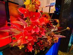 -好乐迪KTV(金钻店)