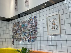 -半岛宠物医院24小时(科华中路店)