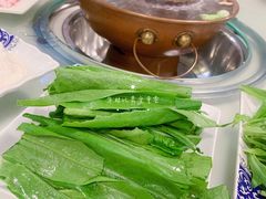 油麦菜-福寿斋·老北京铜锅涮肉·烤鸭(顺义总店)