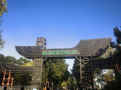 -溱湖国家湿地公园