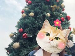-香蜜轩·粤菜·宴会(世界之窗店)