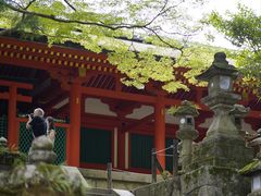 -奈良公园