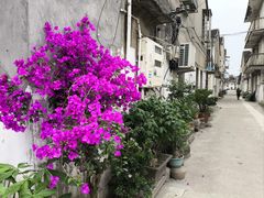 -戚继光纪念馆