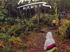 -云岫谷自然风景区