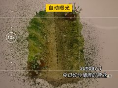 -The Georg(东华门店)