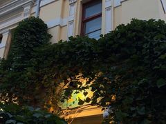 -露西亚咖啡西餐厅(哈尔滨俄侨纪念馆店)