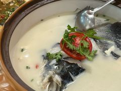 -全乐鱼馆·淳牌有机鱼直营店