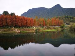-贵阳市花溪国家城市湿地公园