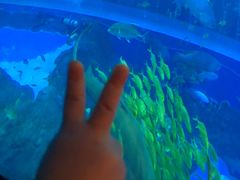 -成都浩海立方海洋公园