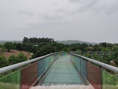 -都江堰玫瑰花溪谷