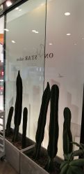 -ON STAR SALON
