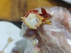 -虾恋蛤蟆功