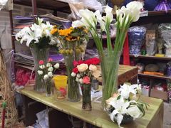 -秦美花卉(天朗·莱茵小城2期店)