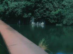 -大屏嶂森林公园