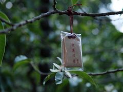 -杭州上天竺法喜讲寺