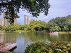 -晓港公园