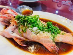 -侨美·唐荔园·40年地道粤菜