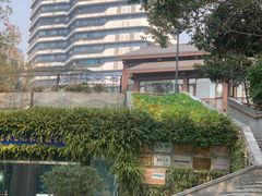 -成都市活水公园
