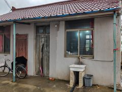 -南汇水蜜桃采摘(大团店)