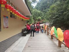 -九龙江国家森林公园