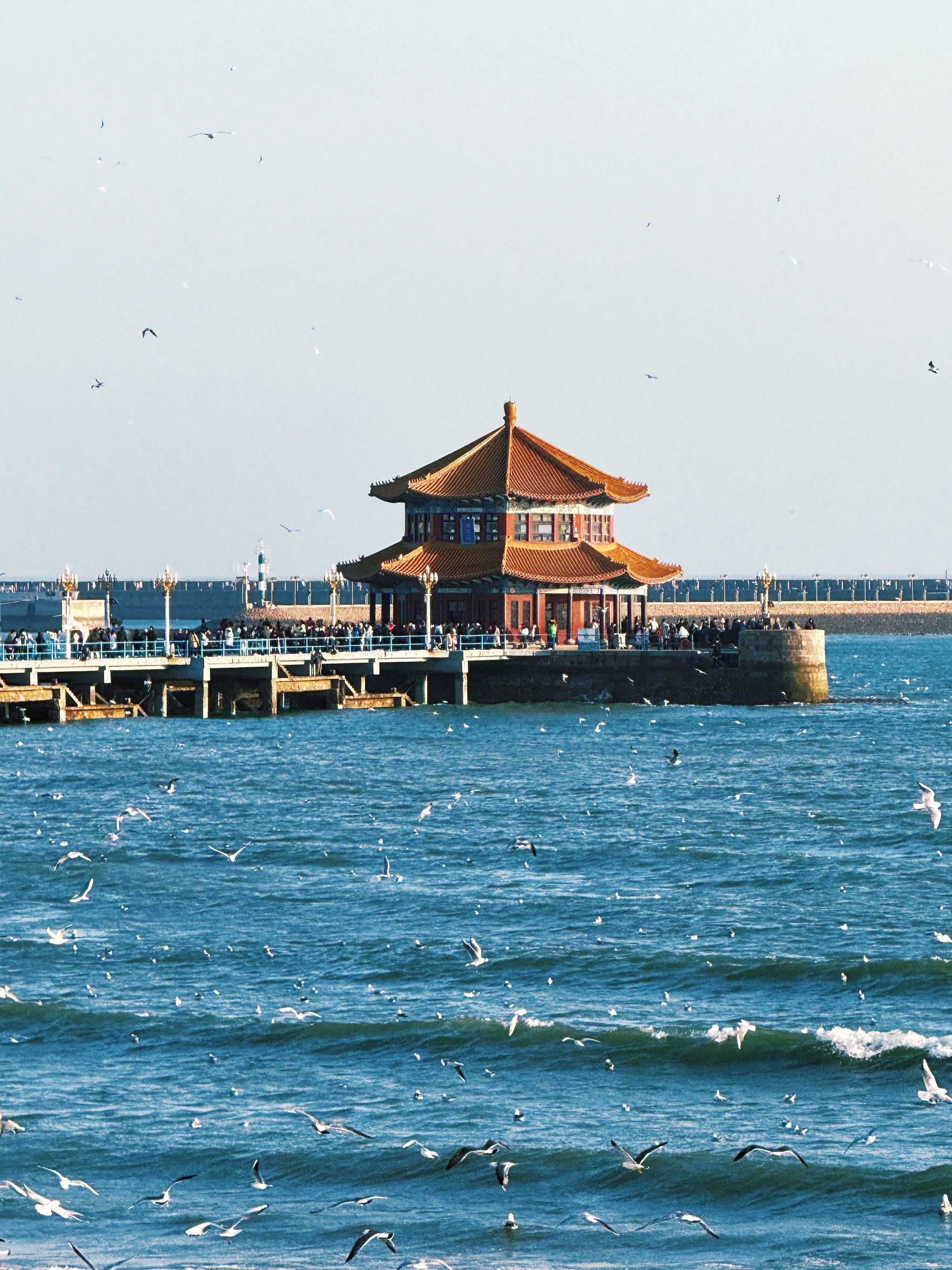 谁能拒绝冬天的青岛栈桥啊❗