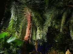 -龙达温泉生态城