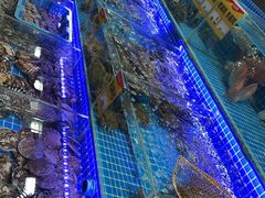 -大东海海鲜酒楼(渔人码头总店)