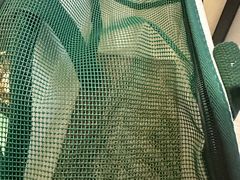 -星巴克臻选(莘庄仲盛店)