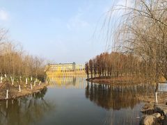 -杭州湾海上花田景区