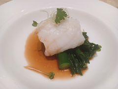 头抽蒸鱼斑件-8餐厅(新葡京酒店)