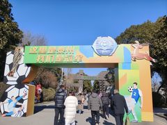 -溱湖国家湿地公园