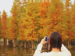 -白鹭湾湿地公园