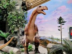 -国家自然博物馆