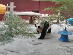 -杭州野生动物世界